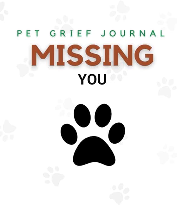 COPING WITH PET LOSS