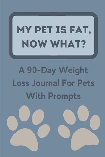 My Pet Is Fat, Now What?