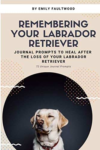 Remembering Your Labrador Retriever