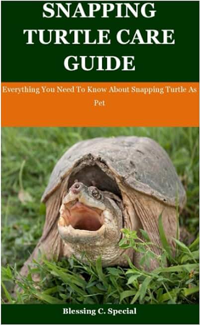 Snapping Turtle Care Guide